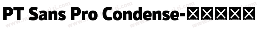 PT Sans Pro Condense字体转换